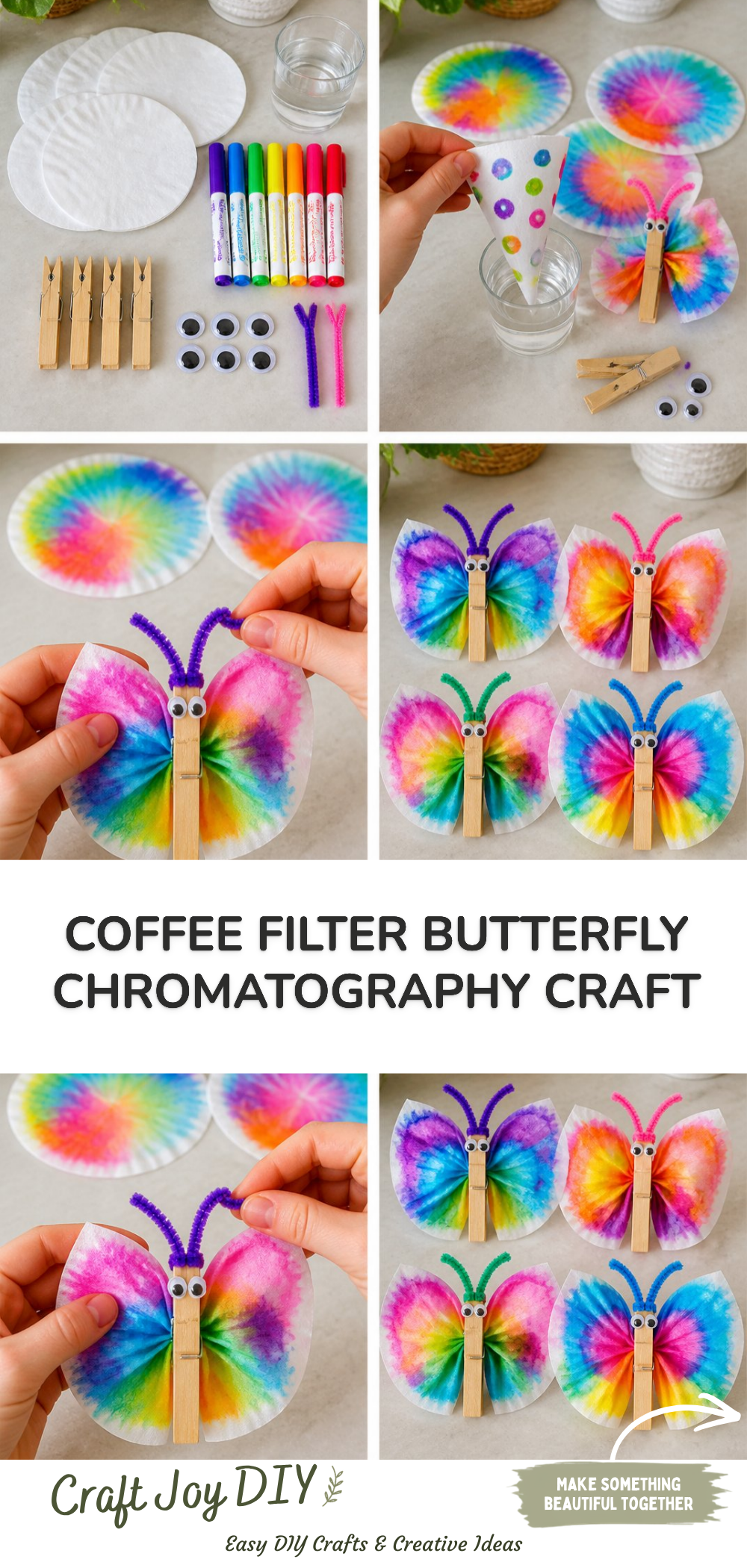 Coffee Filter Butterfly Chromatography Craft
